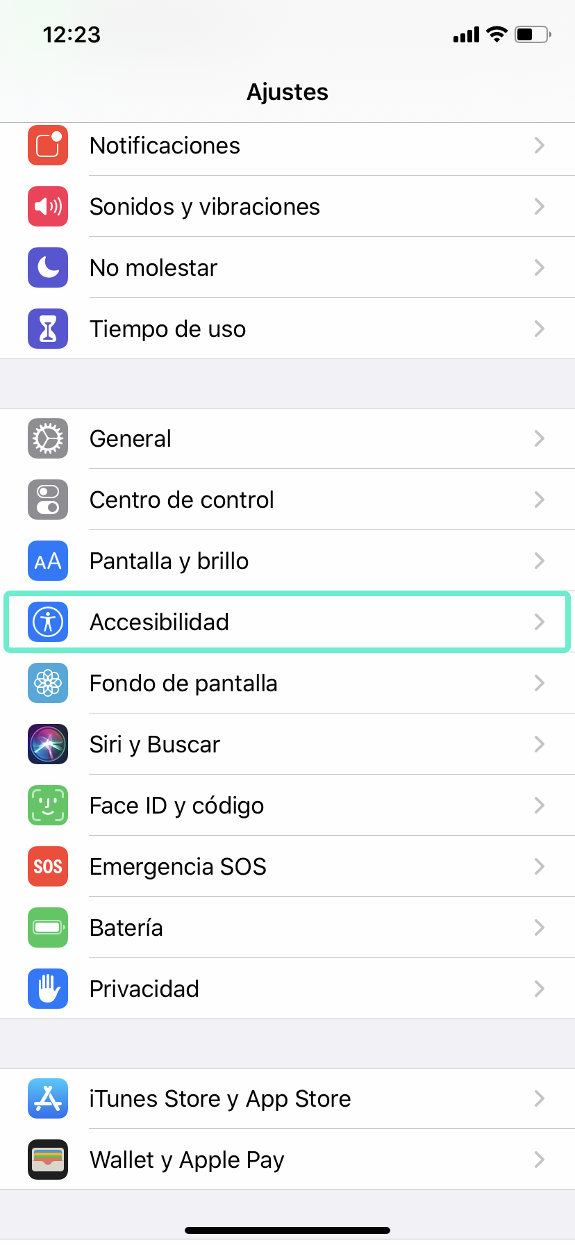 Acceder Accesibilidad apple iphone rim mobile